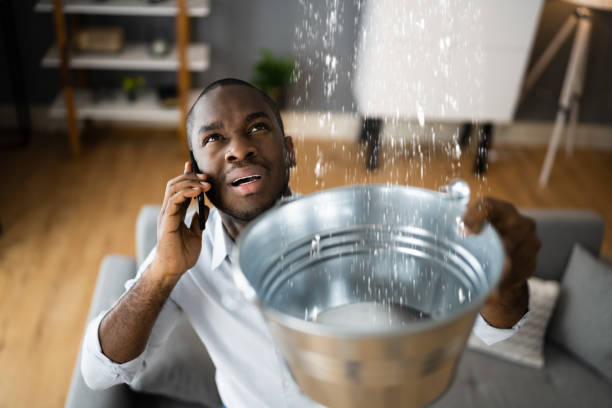 Best Water damage cleanup near me  in Port Hueneme, CA