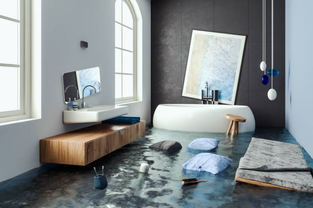 Best Professional water damage repair  in Port Hueneme, CA
