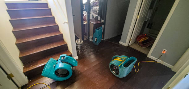 Best Ceiling water damage repair  in Port Hueneme, CA