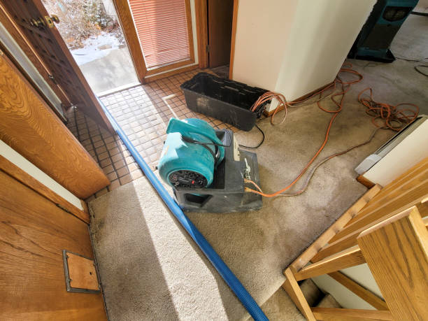 Best Commercial water damage restoration  in Port Hueneme, CA