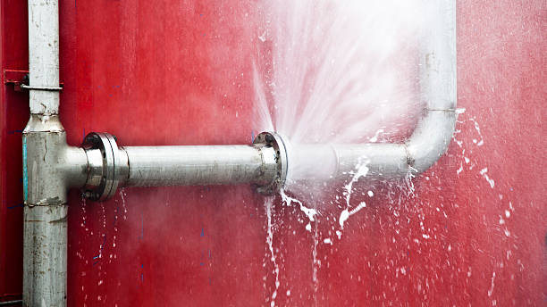 Best Water damage restoration mold remediation  in Port Hueneme, CA