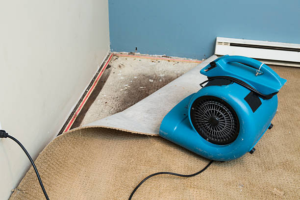 Best Emergency water damage restoration  in Port Hueneme, CA